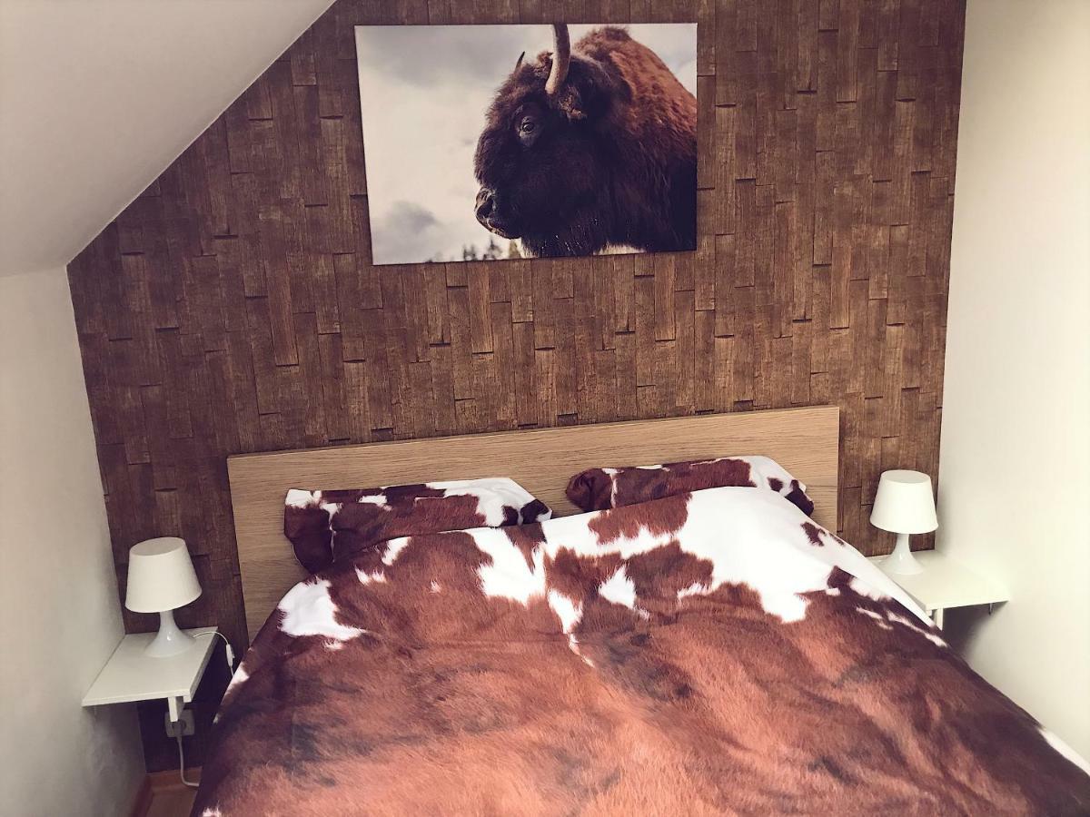 Villa Dakota - Jacuzzi, Zwembad, Playstation Durbuy Exteriör bild