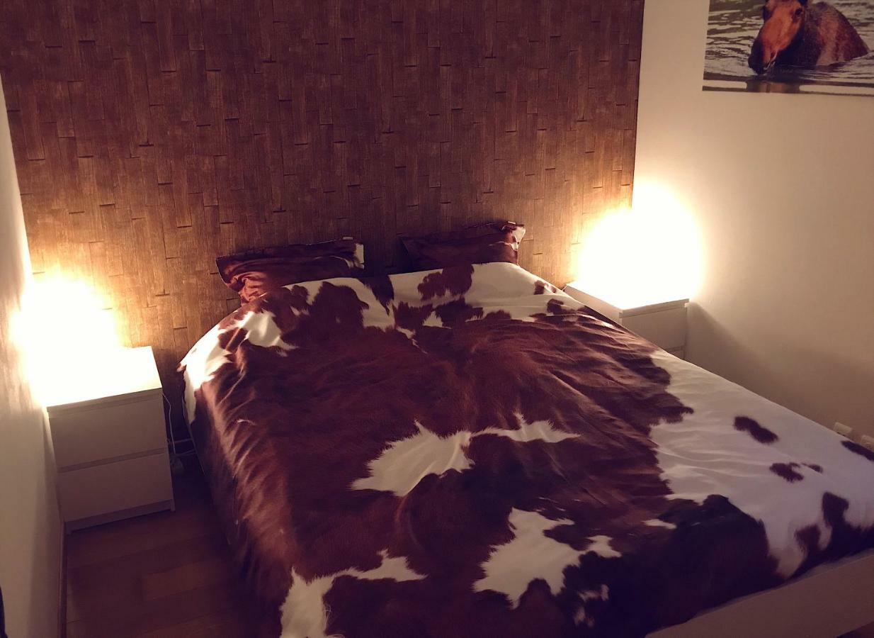 Villa Dakota - Jacuzzi, Zwembad, Playstation Durbuy Exteriör bild